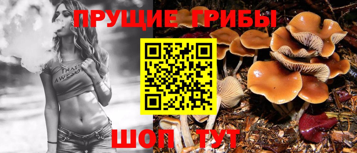 Губкинский  Псилоцибиновые грибы GOLDEN TEACHER  цена наркотик  Вход с VPN  Псилоцибиновые грибы Psilocybe 