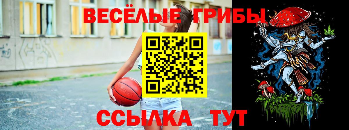 Псилоцибиновые грибы Psilocybe Губкинский